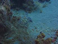 20061127_MI-00166.JPG