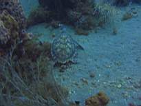 20061127_MI-00167.JPG