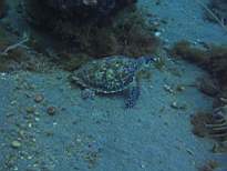 20061127_MI-00168.JPG