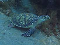 20061127_MI-00169.JPG