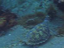 20061127_MI-00170.JPG