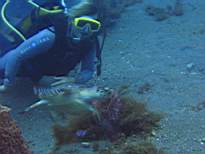 20061127_MI-00173.JPG