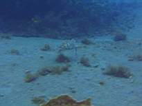 20061127_MI-00175.JPG
