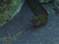 20061127_MI-00178.JPG