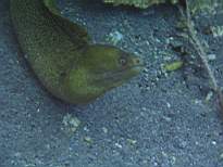 20061127_MI-00179.JPG