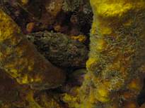 20061127_MI-00184.JPG