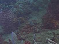 20061128_MA-00201.JPG