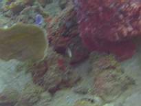 20061128_MA-00207.JPG