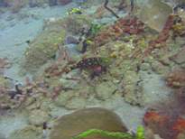 20061128_MA-00211.JPG