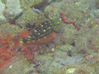 20061128_MA-00213.JPG