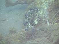 20061128_MA-00215.JPG