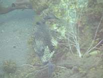 20061128_MA-00216.JPG