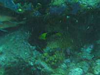 20061128_MA-00220.JPG