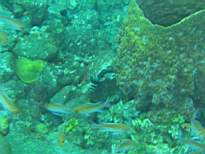 20061128_MA-00222.JPG