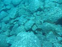 20061128_MA-00225.JPG