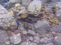 20061128_MA-00226.JPG