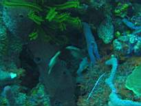 20061128_MI-00229.JPG