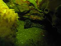 20061128_MI-00230.JPG