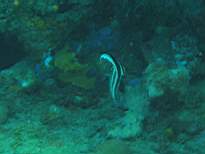 20061128_MI-00233.JPG