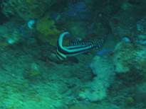 20061128_MI-00234.JPG