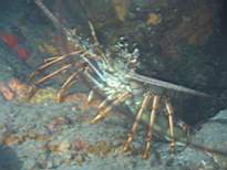 20061129_MA-00251.JPG