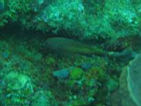 20061129_MA-00256.JPG