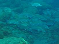 20061129_MA-00258.JPG
