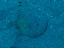 20061130_MI-00281.JPG