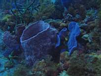 20061130_MI-00283.JPG