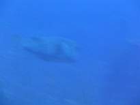 20061130_MI-00284.JPG
