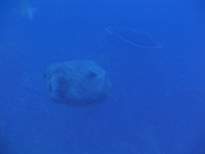 20061130_MI-00285.JPG