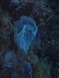 20061130_MI-00286.JPG