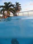 20061130_MI-00305.JPG