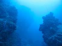 20061201_MA_00313.JPG