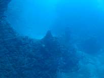 20061201_MA_00315.JPG