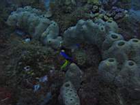 20061201_MA_00319.JPG