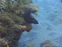 20061201_MA_00321.JPG