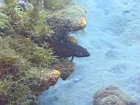 20061201_MA_00322.JPG