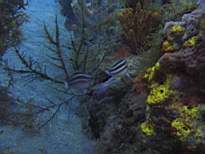 20061201_MI-00345.JPG