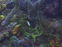 20061201_MI-00350.JPG