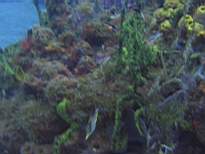 20061201_MI-00352.JPG