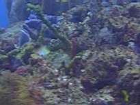 20061201_MI-00355.JPG