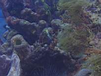 20061201_MI-00356.JPG
