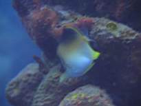 20061201_MI-00357.JPG