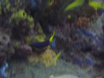 20061201_MI-00358.JPG