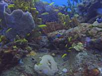 20061201_MI-00359.JPG
