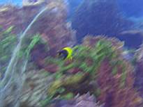 20061201_MI-00361.JPG
