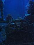 20061202_MA-00383.JPG