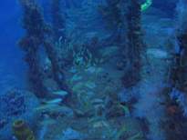 20061202_MA-00386.JPG