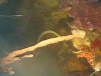 20061203_MA-00413.JPG